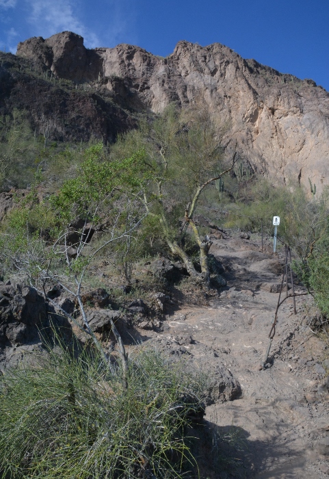 the Hunter Trail
